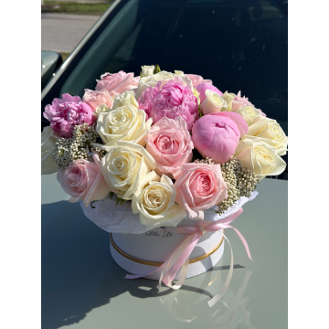Peony Love